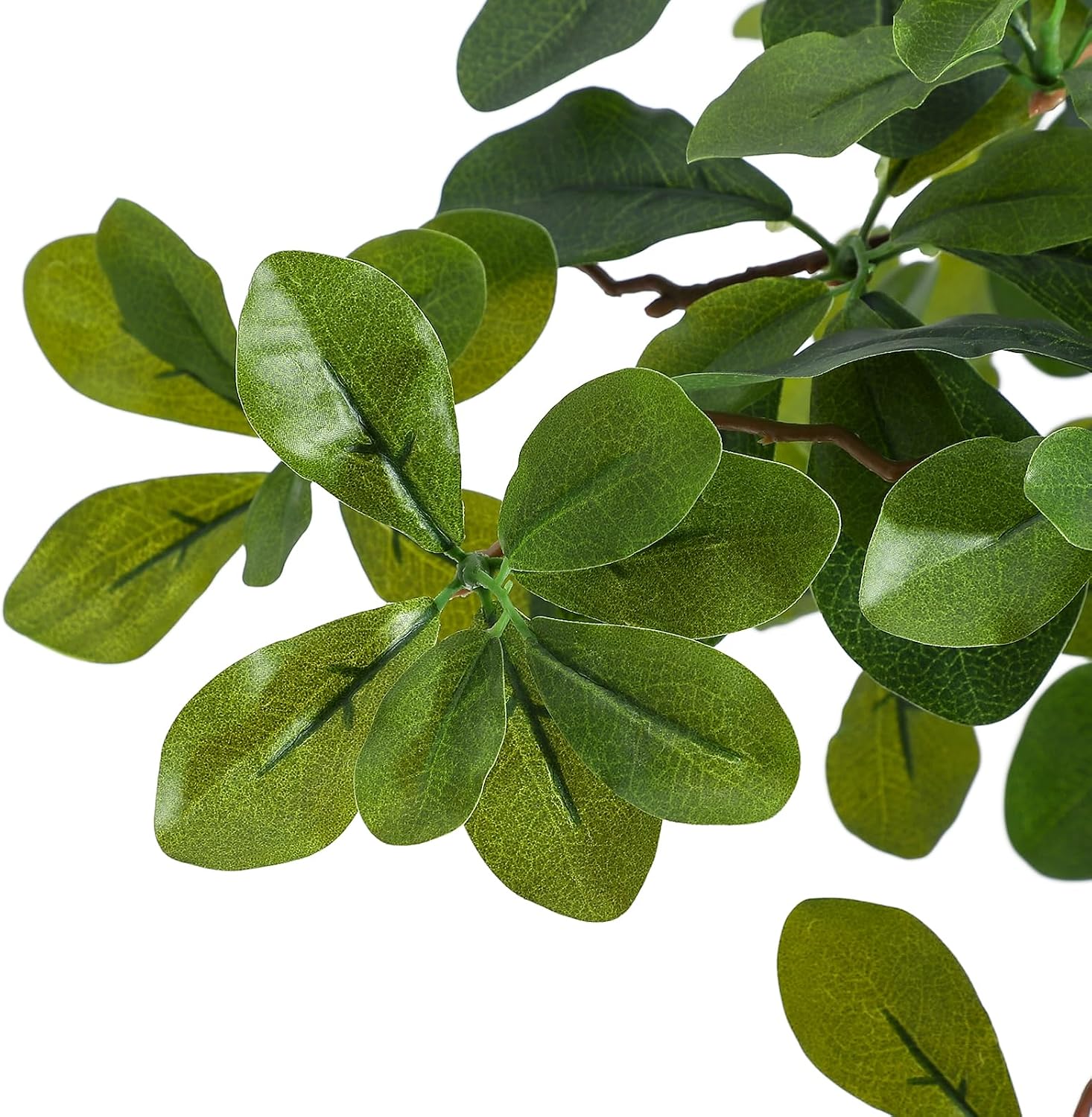 Artificial Plants Indoor, 5/6  - Baby Nursery Tree 评论和价格