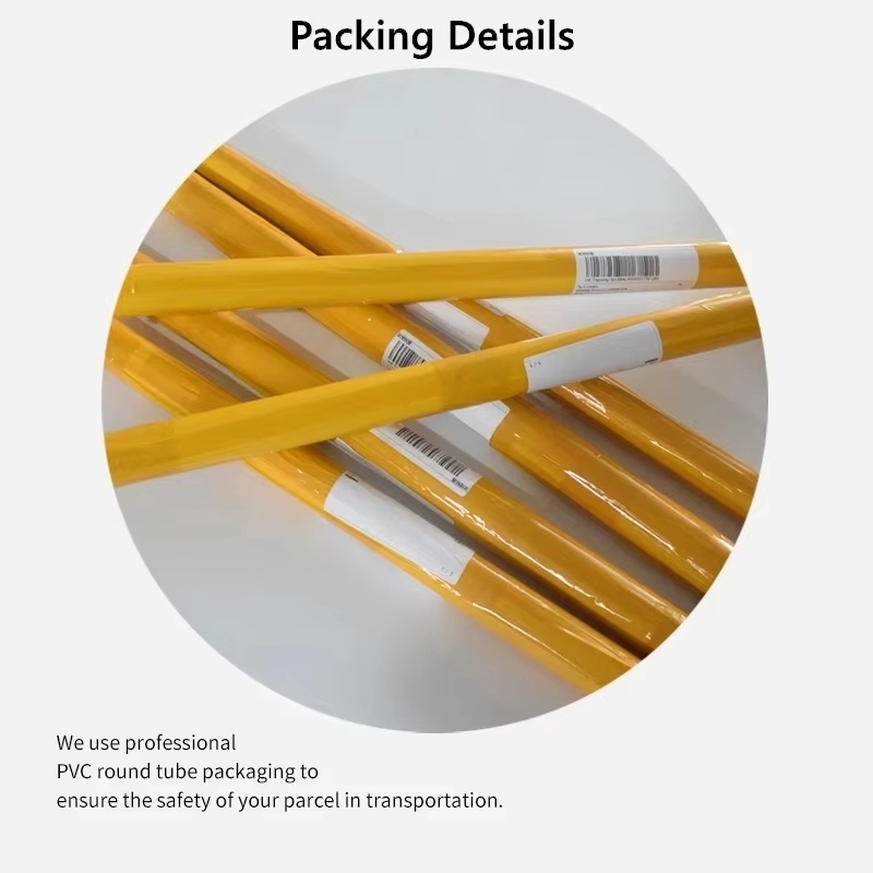 Animal World Map Dinosaur Alph - Baby Nursery Kids 评论和价格